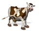 Cartoon Cow Wall Decal