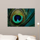 Eye Peacock Feather Wall Decal