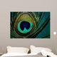 Eye Peacock Feather Wall Decal