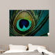 Eye Peacock Feather Wall Decal