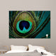 Eye Peacock Feather Wall Decal