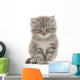 Kitten on a White Background Wall Decal