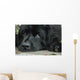 Sweet Sad Newfoundland Wall Mural
