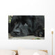 Sweet Sad Newfoundland Wall Mural