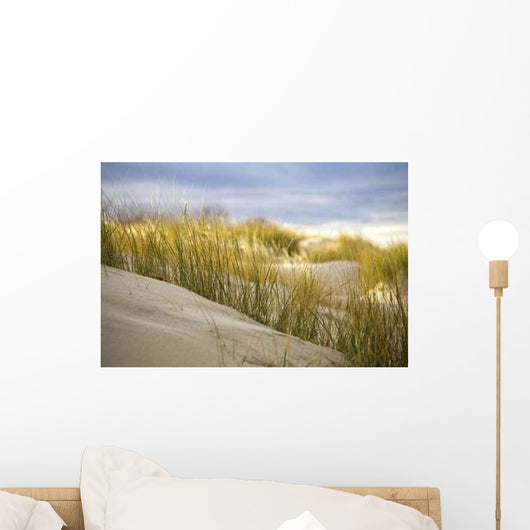 Dune 2 Wall Decal