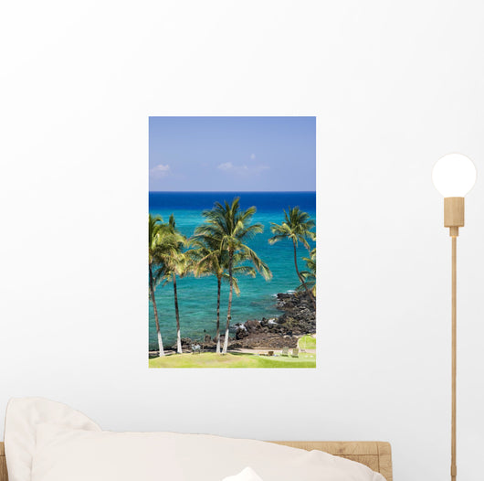 hawaii kona beach Wall Mural