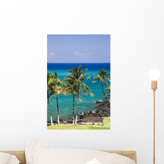 hawaii kona beach Wall Mural