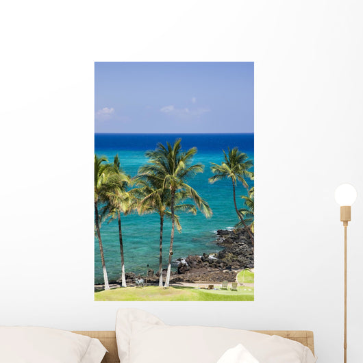 hawaii kona beach Wall Mural