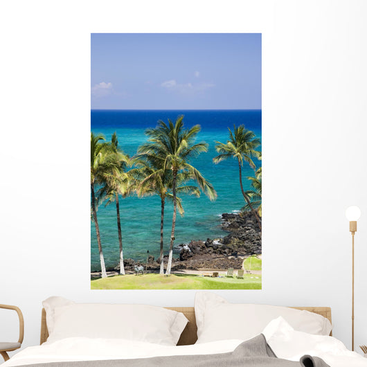 hawaii kona beach Wall Mural