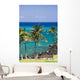 hawaii kona beach Wall Mural