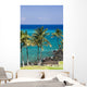 hawaii kona beach Wall Mural