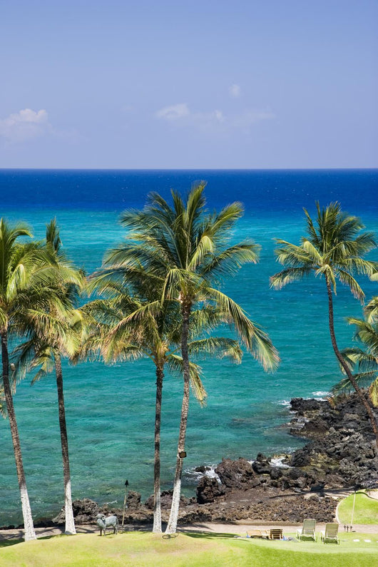 hawaii kona beach Wall Mural
