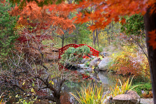 Japanese Garden Autumn Wall Mural