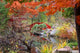 Japanese Garden Autumn Wall Mural