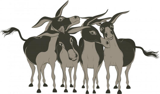 Group of Cheerful Donkeys over White Wall Decal