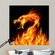 Fire Dragon