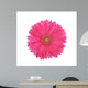 Red Gerber Daisy (Top View) Wall Decal