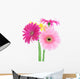 Colorful Gerber Daisies Wall Decal