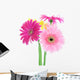 Colorful Gerber Daisies Wall Decal