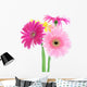 Colorful Gerber Daisies Wall Decal