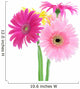 Colorful Gerber Daisies Wall Decal