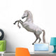 Rearing Horse Wall Decal