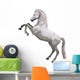 Rearing Horse Wall Decal