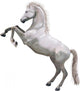 Rearing Horse Wall Decal