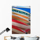 Brightly Colored Rental Surfboards
