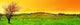 Fresh Vineyard Panoramic Wall Mural