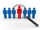 magnifying glass team Wall Decal
