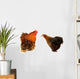 Cock and Black Hen Wall Decal