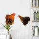 cock and  black hen Wall Decal