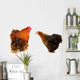 cock and  black hen Wall Decal