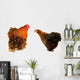 cock and  black hen Wall Decal