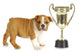Puppy with Trophy