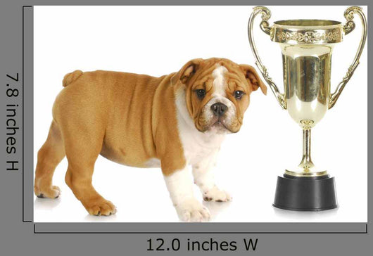 Puppy with Trophy