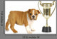 Puppy with Trophy
