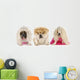 Three Divas