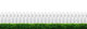 White Fence and Hedge
