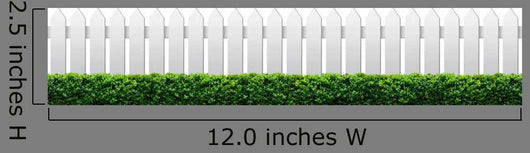 White Fence and Hedge