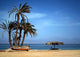 Palms Wall Decal