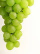 Grapes Wall Decal