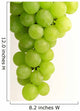 Grapes Wall Decal