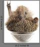 Hedgehog