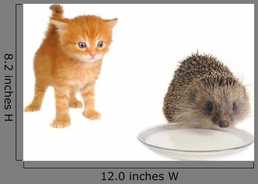 Hedgehog Wall Decal