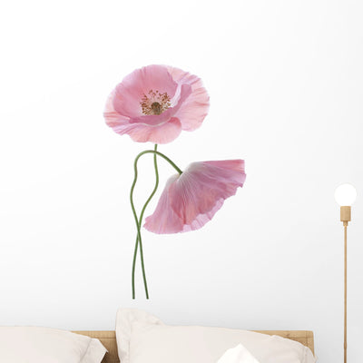 Two Pink Poppies Wall Decal shown on a wall
