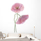 Two Pink Poppies Wall Decal
