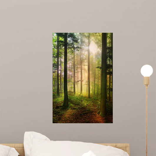 Forest fairy Wall Mural