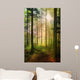 Forest fairy Wall Mural